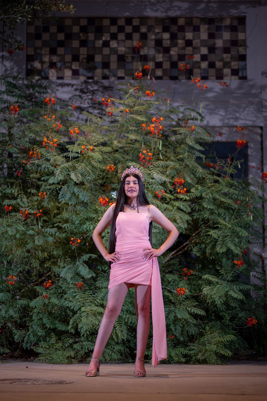 Quinceañera portrait by MCT Studios